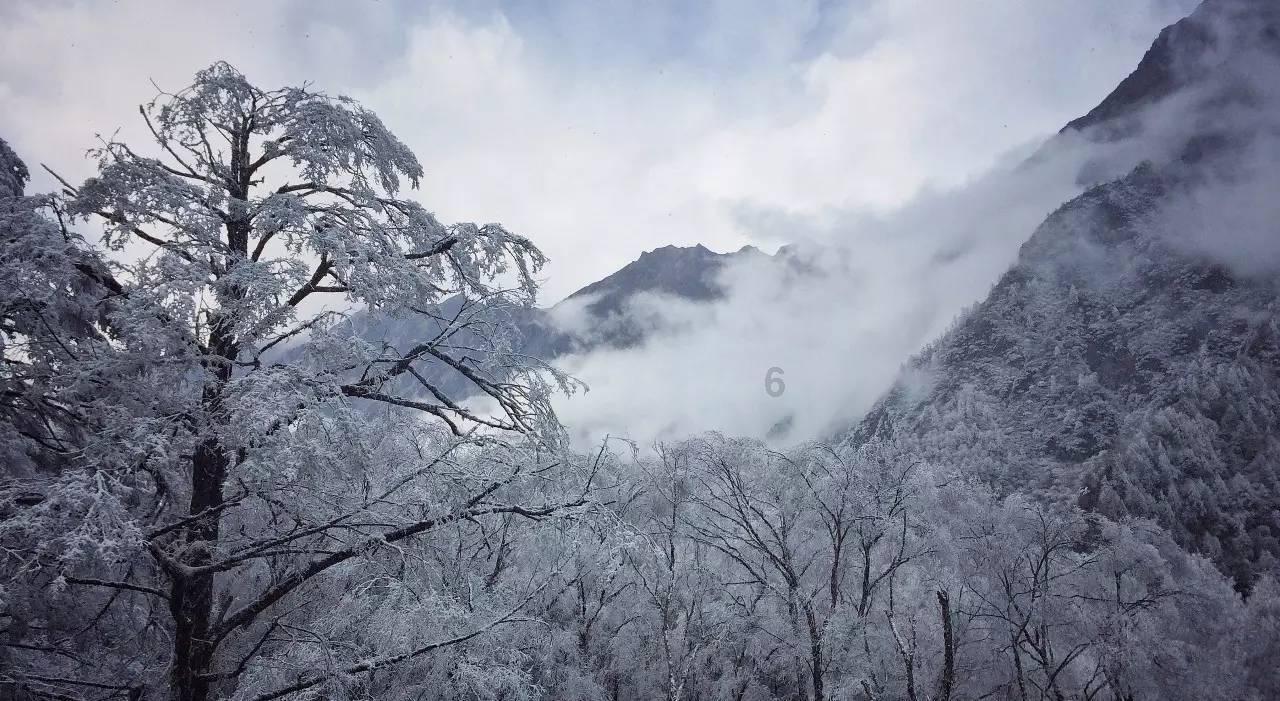 去头屑止痒用什么样的洗发水?去屑止痒洗发水好评榜